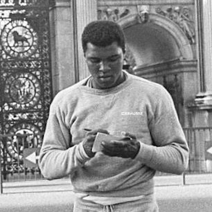 The Champion© Sweatshirt (limited edition) - Sweatshirts - Meshugge