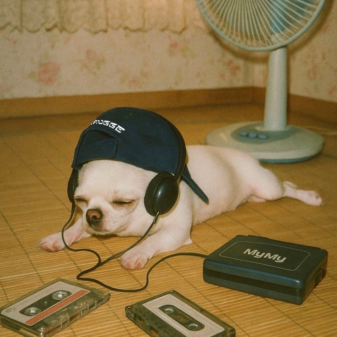 Dog wearing the original 90s cap navy