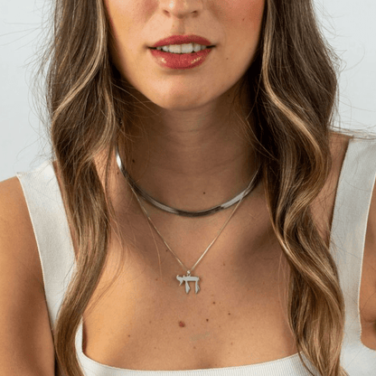 Chai Necklace - Judaica - Meshugge